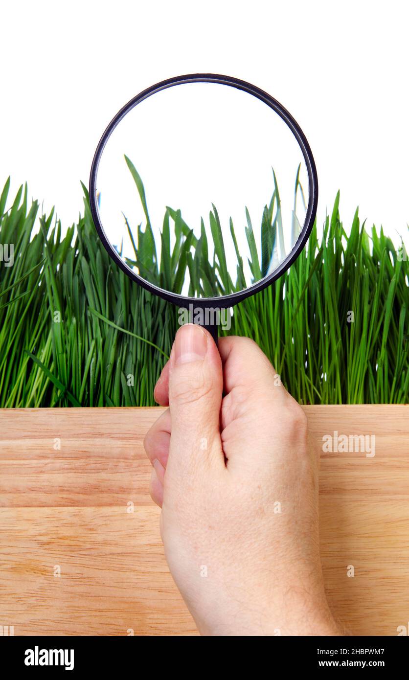 Loupe in a Hand on the Grass Isolated on the White Background Stock ...