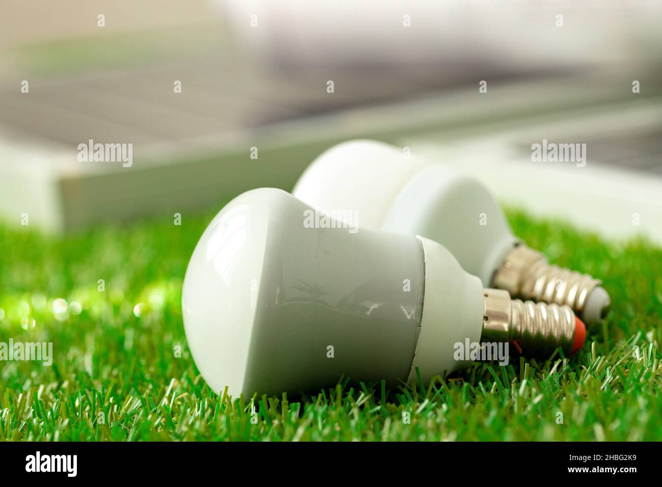 Energy efficient light bulb lying on grass Stock Photo - Alamy