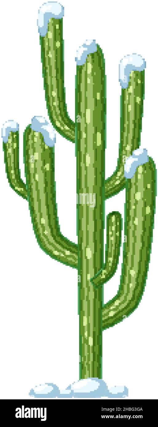 Saguaro cactus isolated on white background illustration Stock Vector