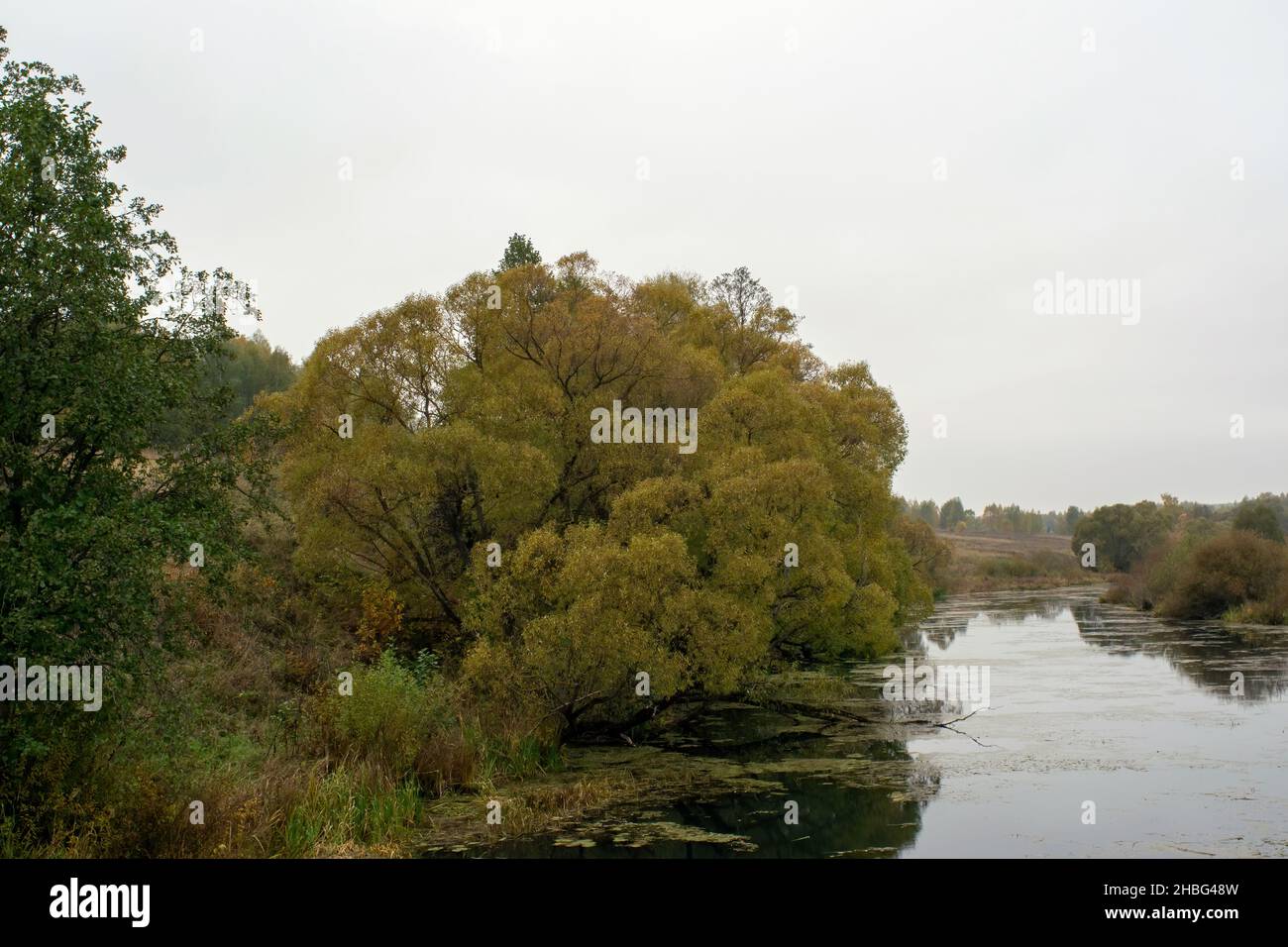 a small river in central Russia, in autumn Stock Photo