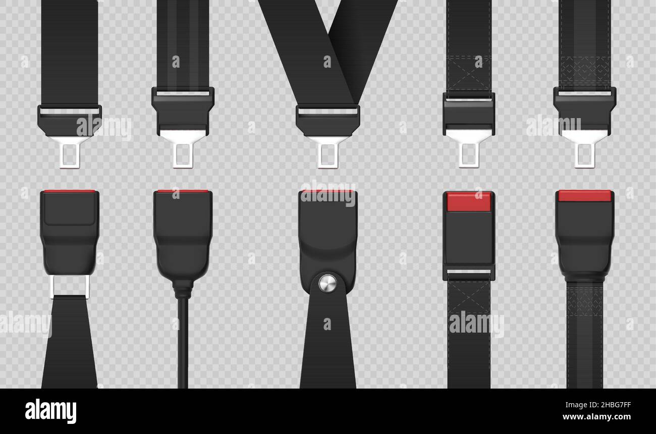 Seat belts seatbelt Stock Vector Images Alamy