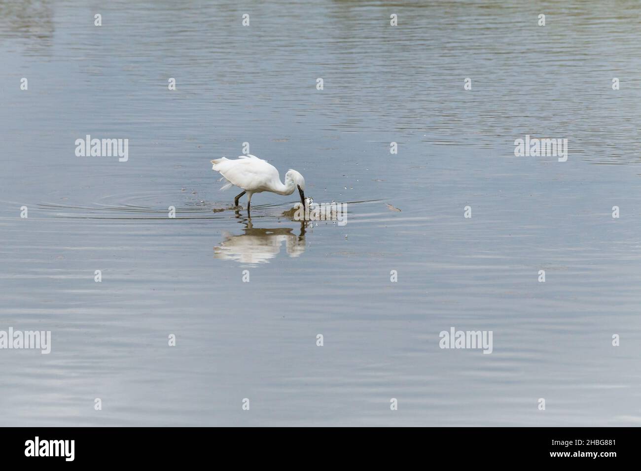 Daily activity in england hi-res stock photography and images - Alamy