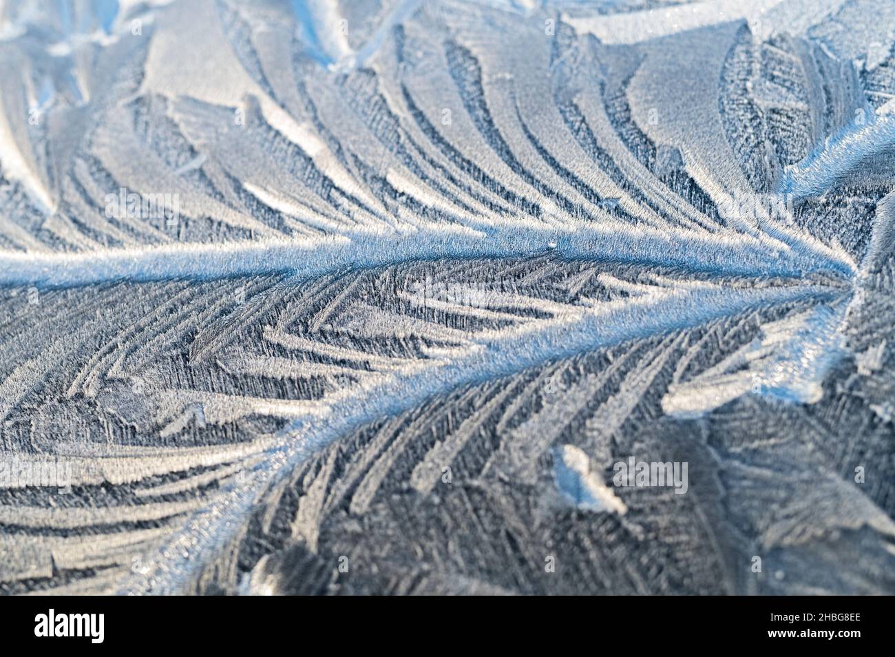Beautiful structures formed by hoarfrost Stock Photo