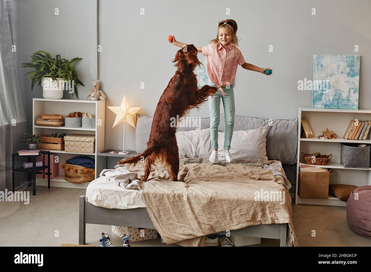 How To Keep Dog From Jumping On Bed At Night