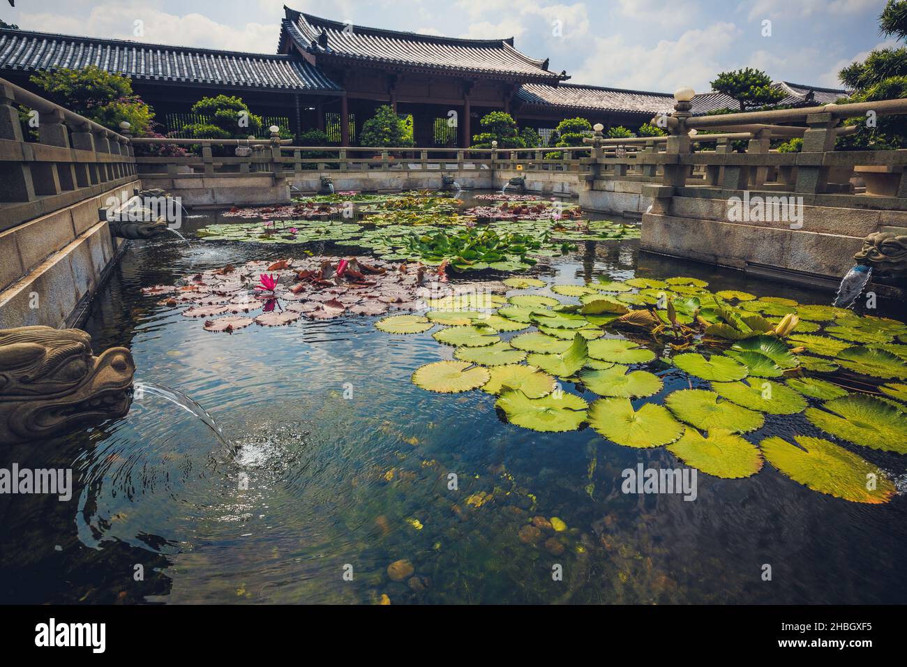 A scenic shot of a Japanese styled park with a lotus pond Stock Photo