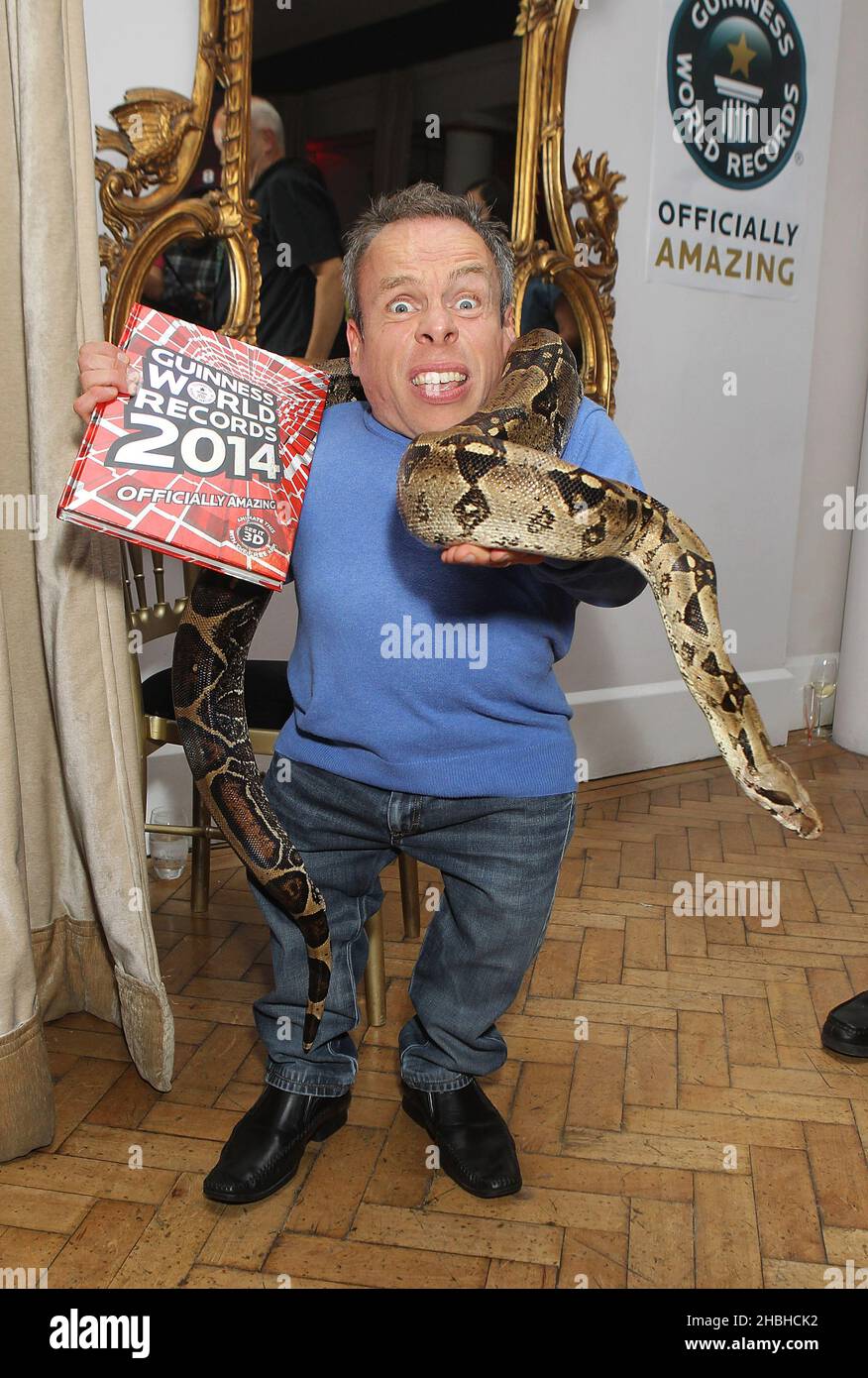 Warwick Davis holding Belle the worlds longest living boa constrictor at the Guinness Book of Records 2014 Launch Party at One Marylebone in London. Stock Photo