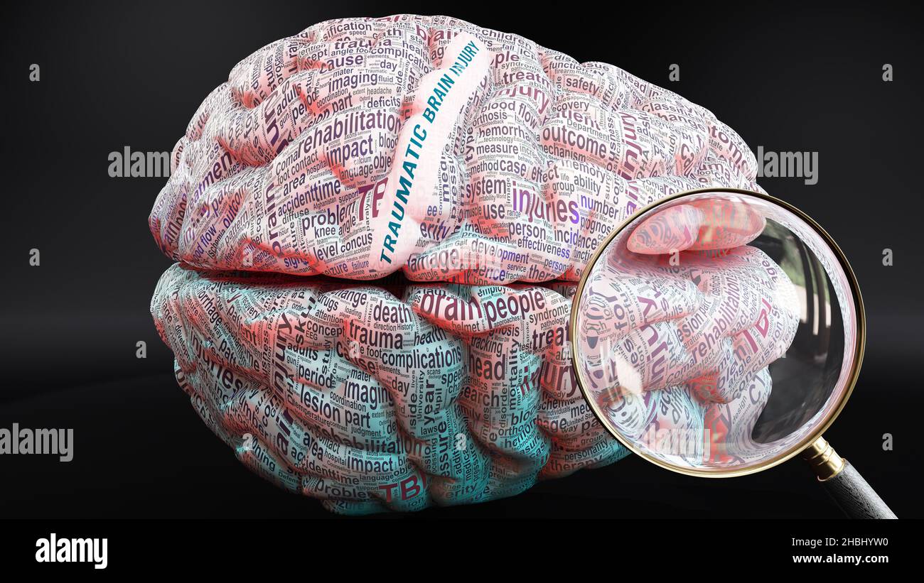 Traumatic brain injury in human brain, hundreds of terms related to Traumatic brain injury projected onto a cortex to show broad extent of this condit Stock Photo