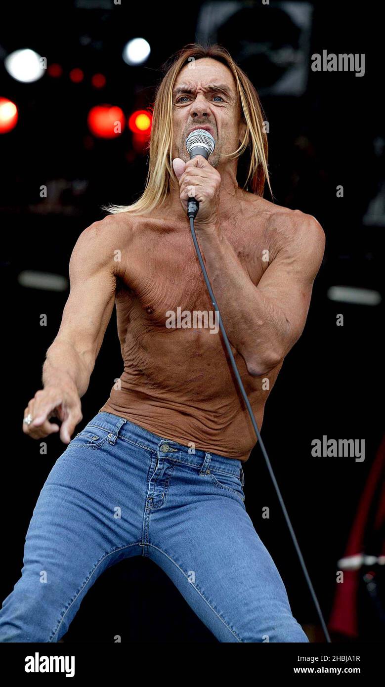 Iggy pop on stage in hi-res stock photography and images - Alamy