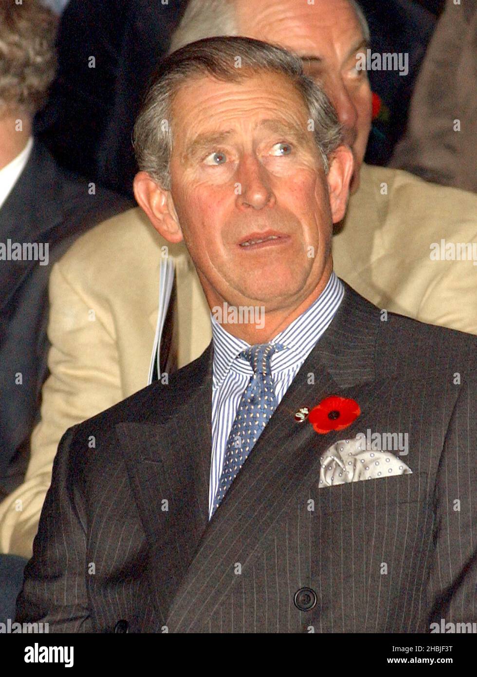 The Prince Of Wales at the Trevor Horn/Princes Trust concert, Wembley
