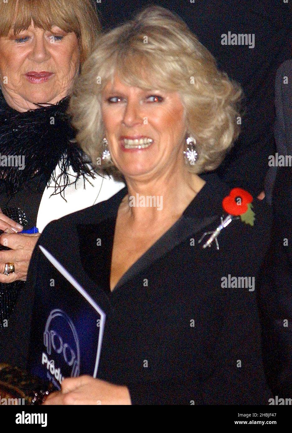 Camilla Parker Bowles at the Trevor Horn/Princes Trust concert, Wembley Arena, London. Stock Photo