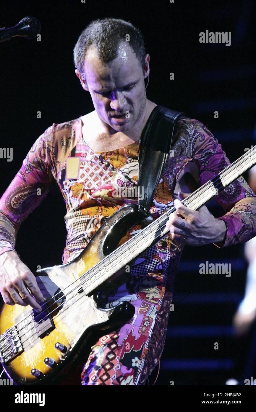 Flea' Michael Balzary of Red Hot Chili Peppers live on stage Stock Photo -  Alamy