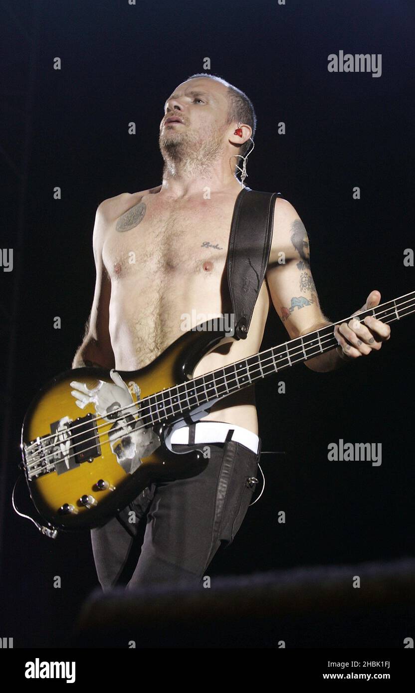 Red hot chili peppers bassist flea hi-res stock photography and images -  Alamy