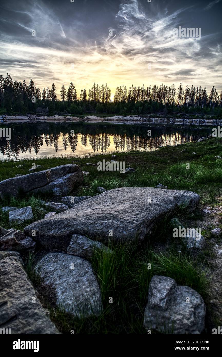 A vertical shot of the trees silhouettes reflection in the lake Stock ...
