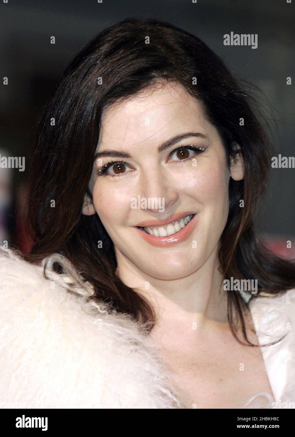 Nigella Lawson during a photocall for a signing session of her book 'Nigella Christmas: Food, Family, Friends and Festivities', at Waterstones in Piccadilly, central London. Stock Photo