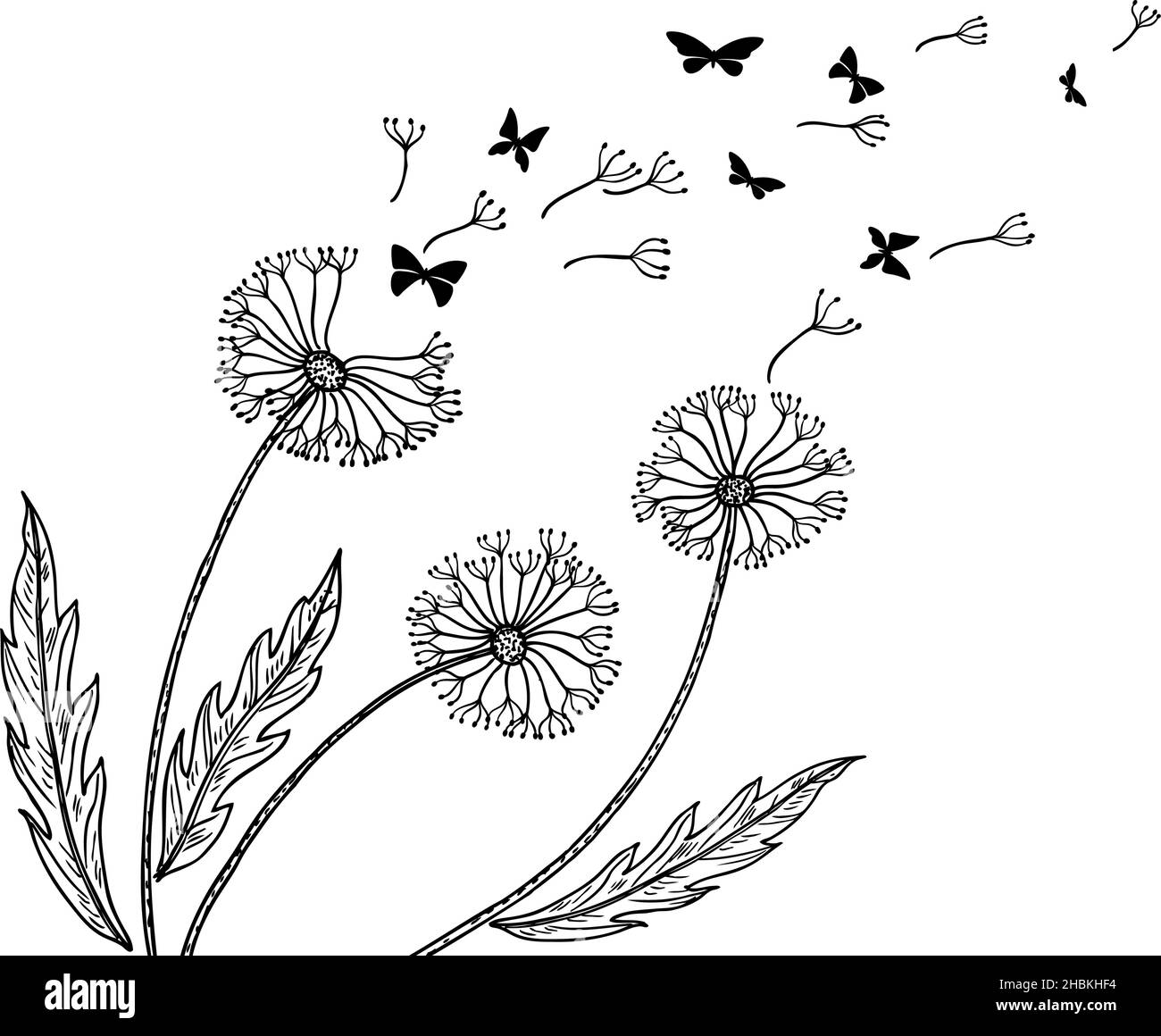 Dandelion background. Dandelions seeds flight, blow wind metaphor. Abstract flower and butterfly silhouettes. Relaxing art, freedom neoteric vector Stock Vector