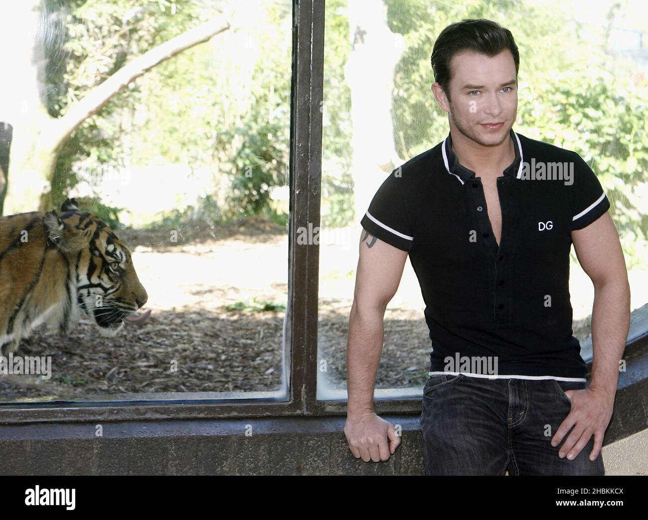 Stephen Gately pledges his support to conservation charity 21st Century Tiger to raise awareness of the threat of extinction for tigers, at ZSL London Zoo. Stock Photo