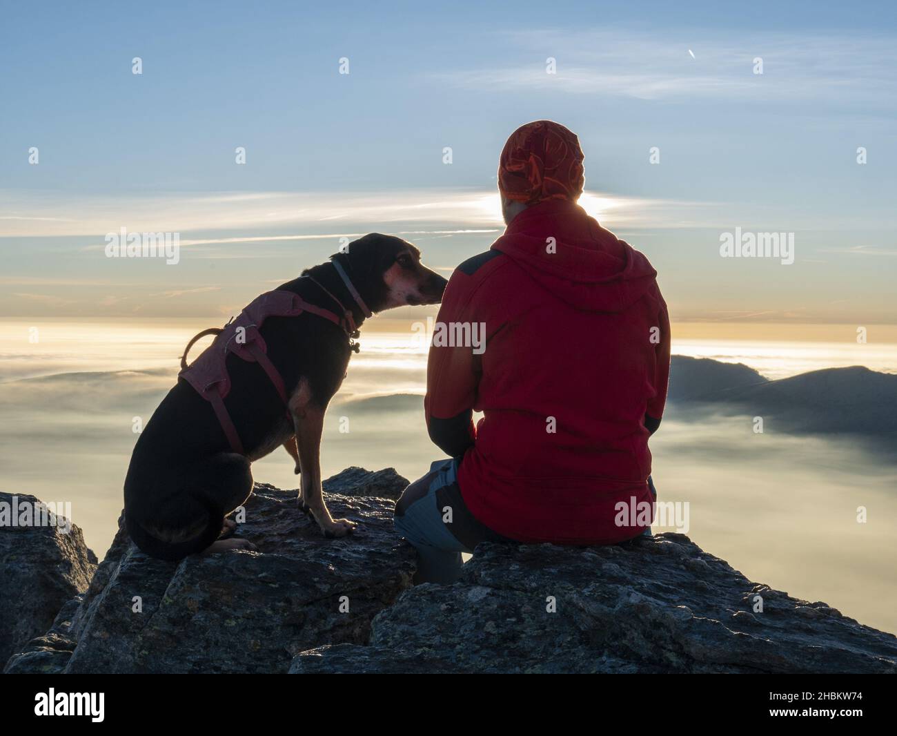 A back shot of a caucasian male sitting next to a dog on the top of a mountain looking out at sunset Stock Photo