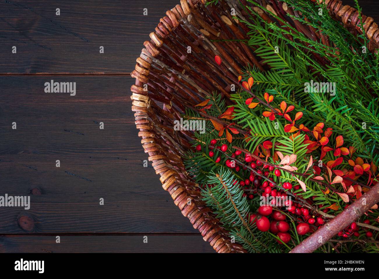 Selection of winter branches in wicker basket on dark brown rustic wooden background. Evergreen fir and yew branches with rose hips. Winter background. Stock Photo