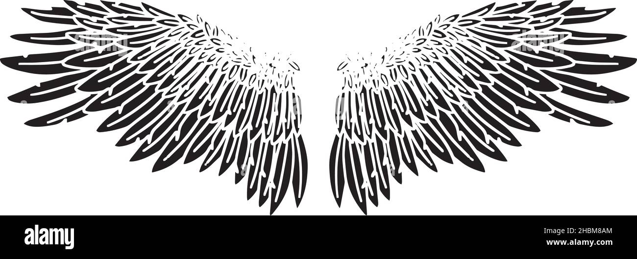 Black Angel Bird Feather Wings Illustration Vector Stock Vector Image & Art  - Alamy