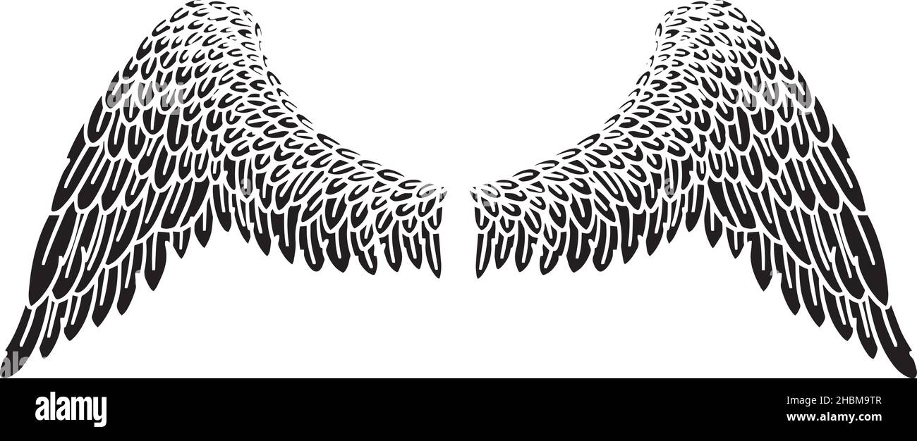 Black Angel Bird Feather Wings Illustration Vector Stock Vector Image ...