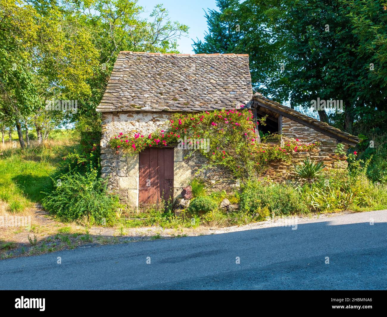 A small shed adorned with climbing roses on the Way of St. James,  taken on a sunny summer morning, with no people Stock Photo