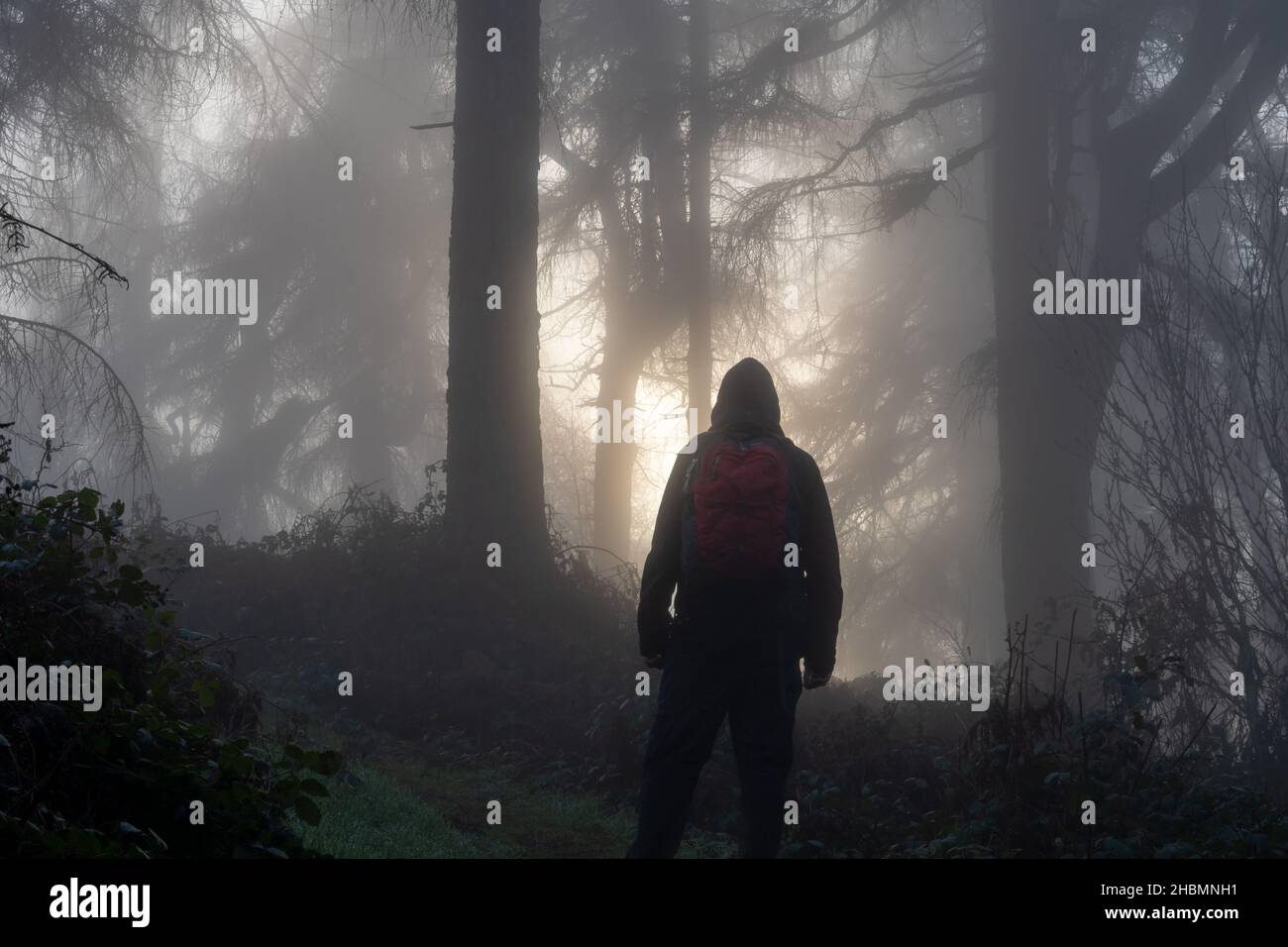Hiker standing in moody hi-res stock photography and images - Alamy