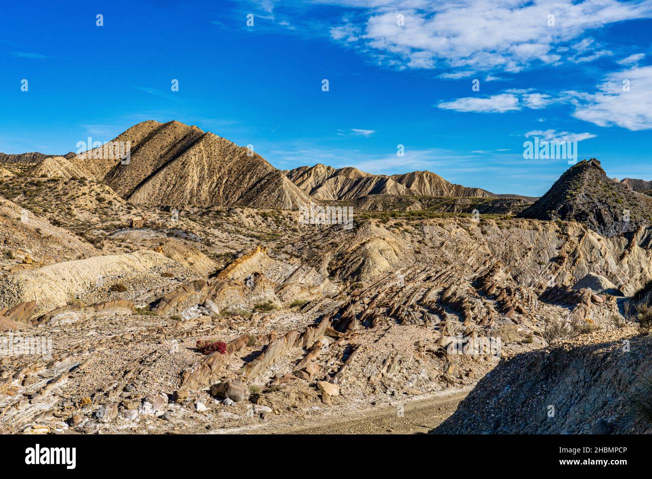 Dragon Tail, Colas de Dragon in Tabernas Desert in Almeria, Spain 