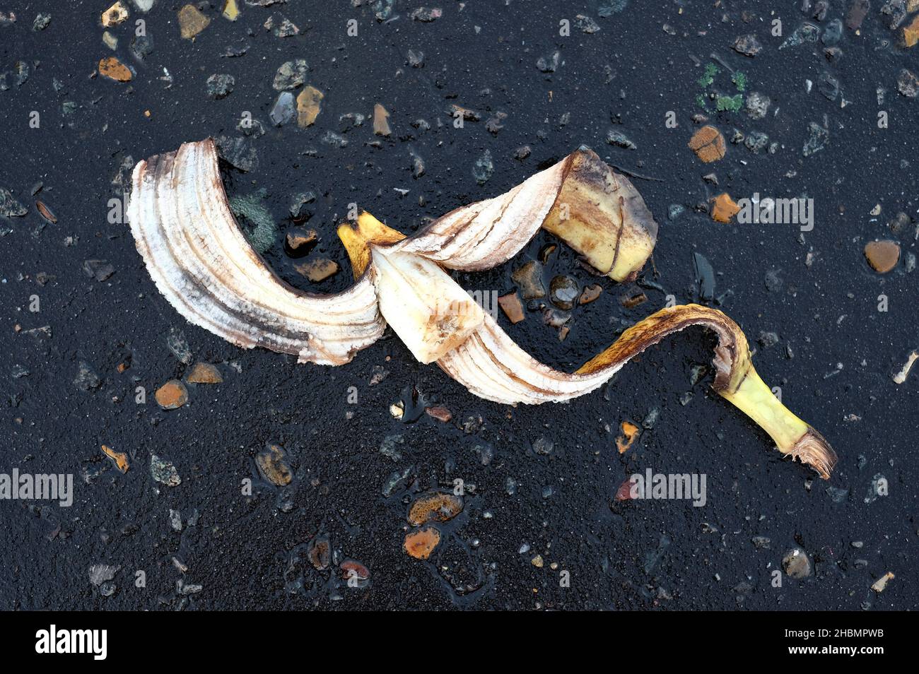 thrown away peeled banana skin on dark tarmac pathway Stock Photo