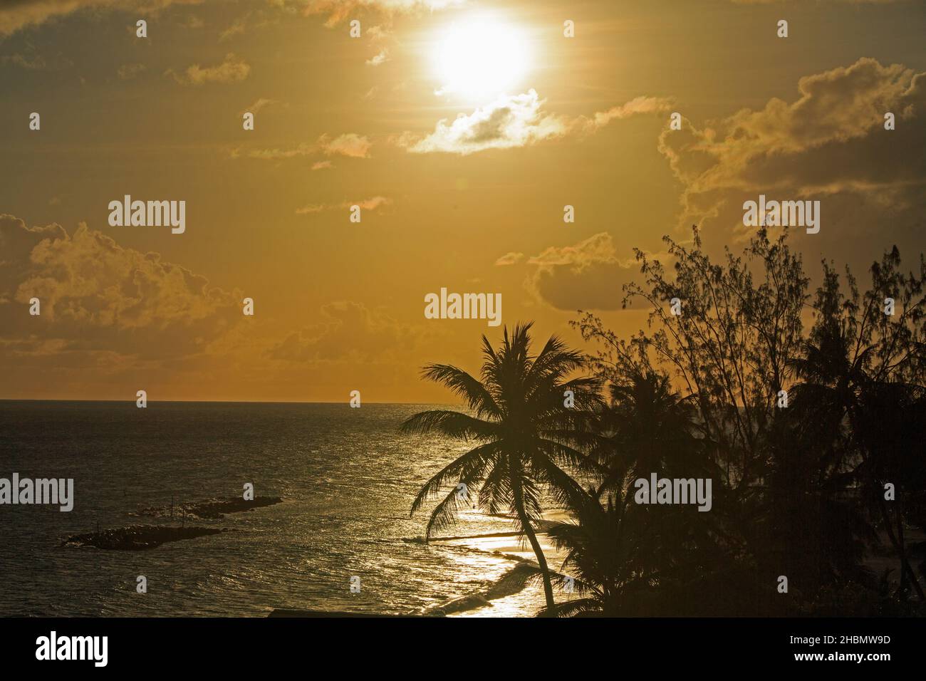 Caribbean Sunset in Barbados, with a silhouette of a palm tree and orange sky Stock Photo