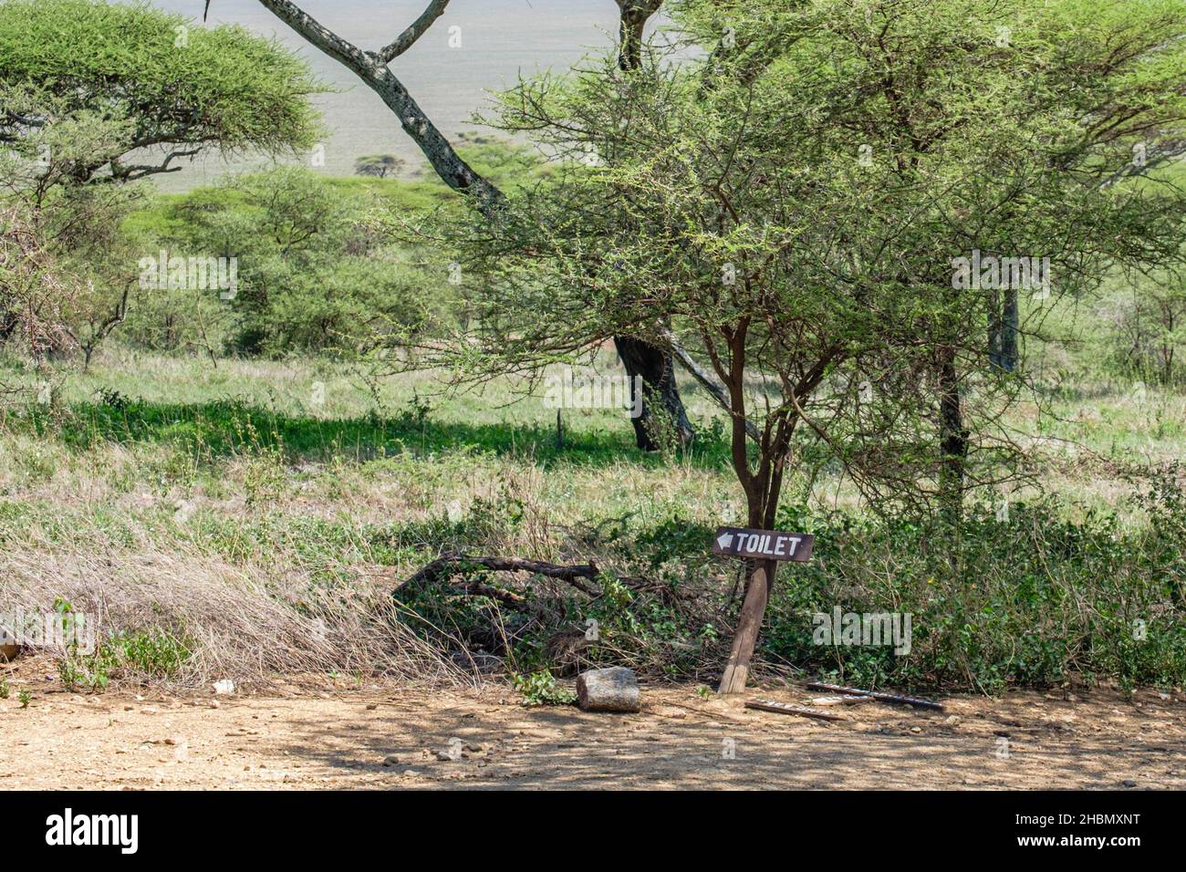 Unlikely placed toilet sign in remote part of the Serengeti, Tanzania Stock Photo