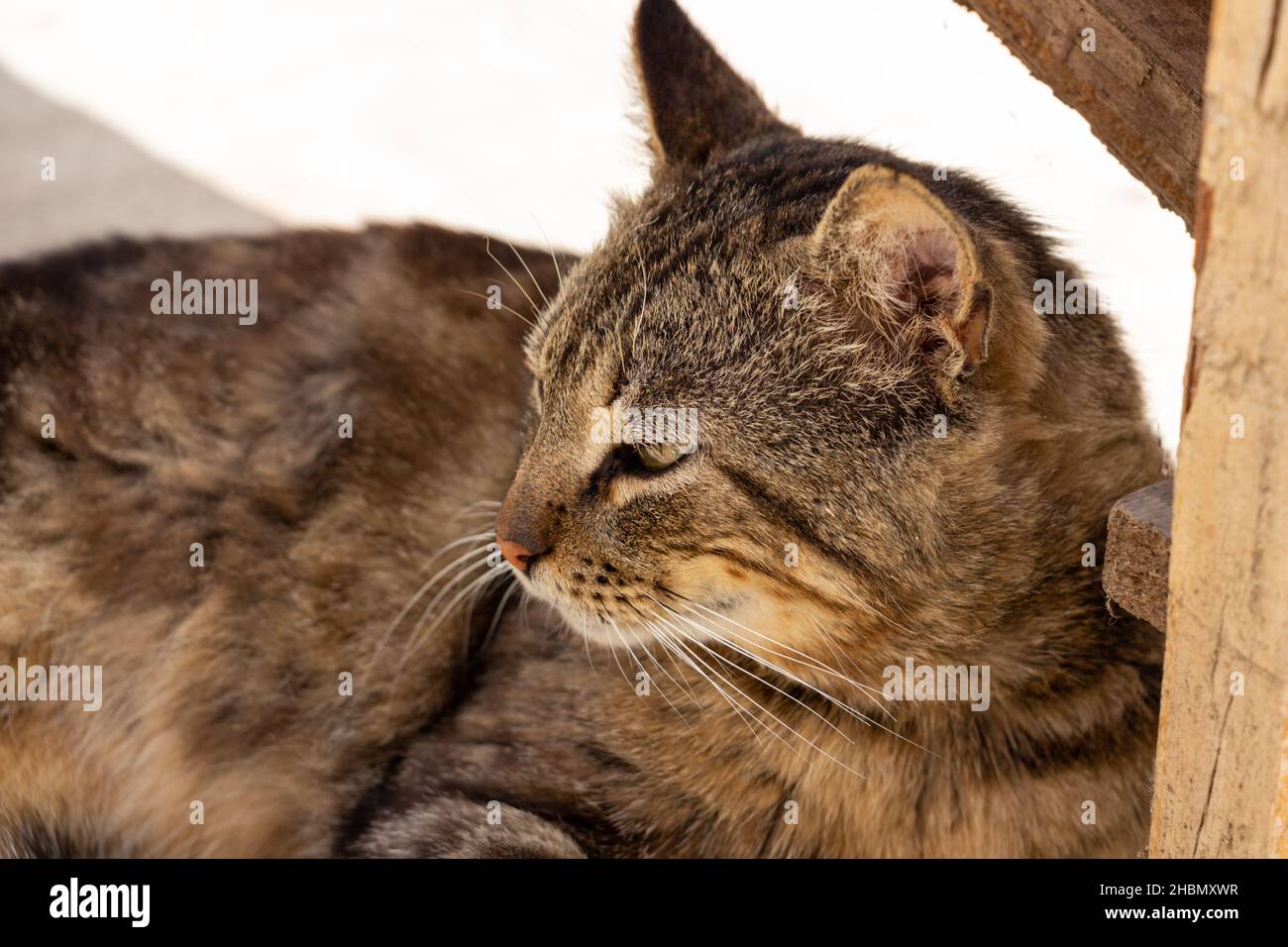 Sleeping Warrior Hi Res Stock Photography And Images Alamy