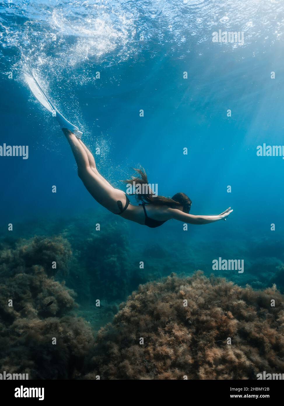 Free diver woman with fins dive underwater in crystal ocean. Stock Photo