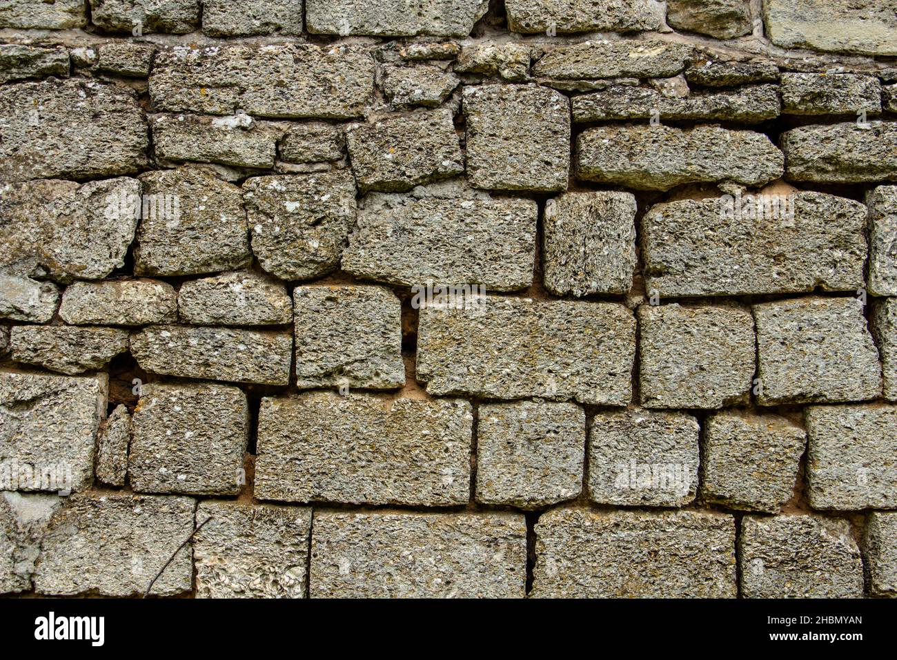 Shell rock wall, stone background close up Stock Photo Alamy
