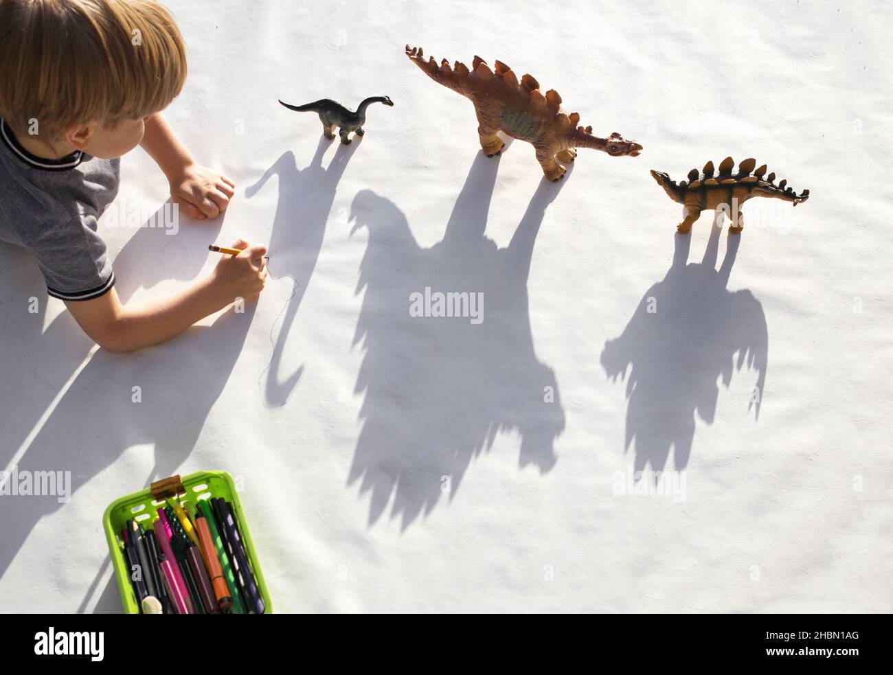 little boy draws a pencil around the contrasting shadows from the figures of toy dinosaurs on white paper. little scientist, ideas for the development Stock Photo