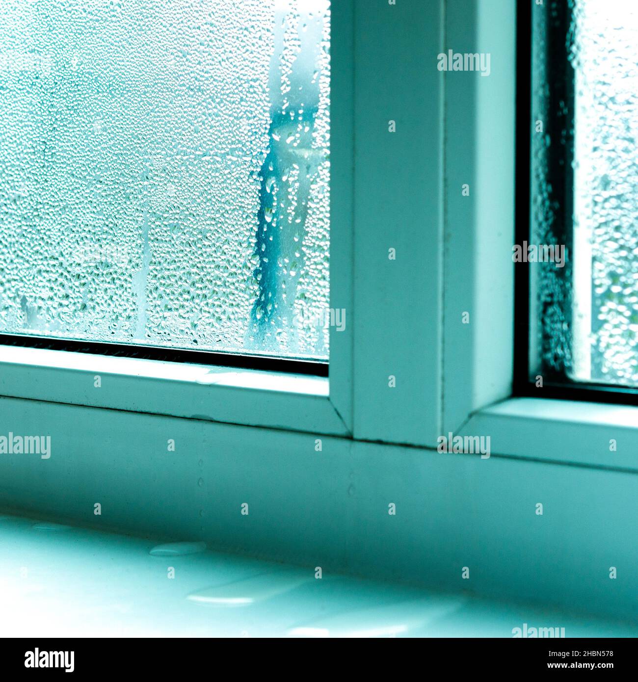 Ecology problems. Condensation and black mold on white plastic windows. Plastic. Ecology Stock Photo