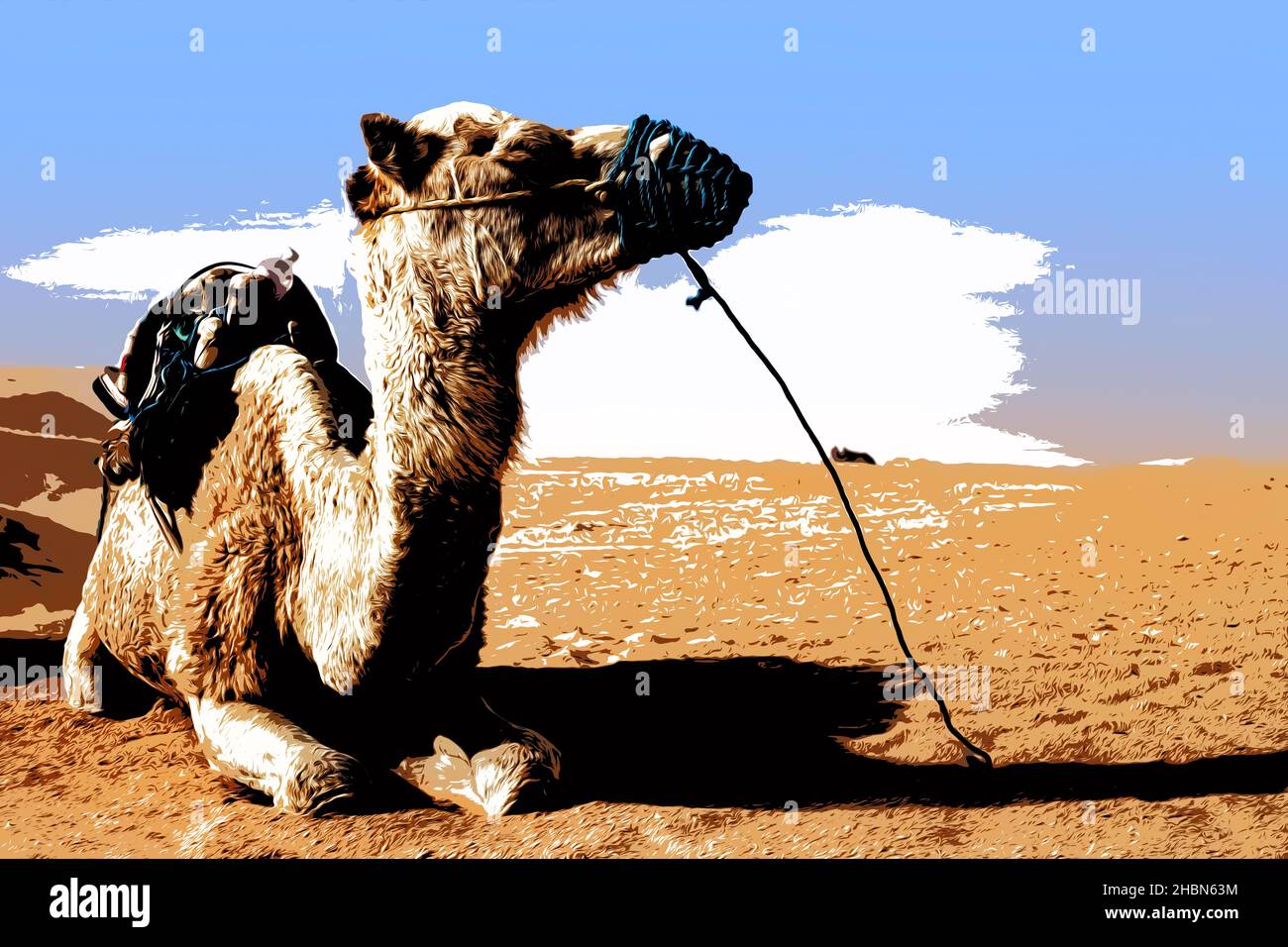 Illustration. Dromedary Camel sits on the sand in the Sahara Desert, resting. Stock Photo