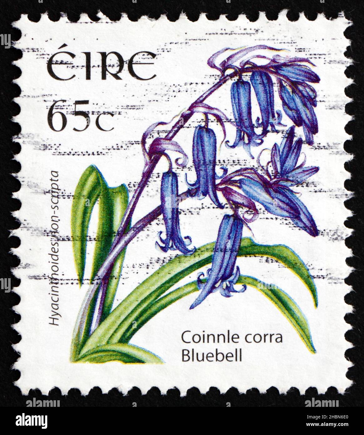 IRELAND - CIRCA 2004: a stamp printed in the Ireland shows Bluebell, Hyacinthoides Non-scripta, Bulbous Perennial Plant, circa 2004 Stock Photo