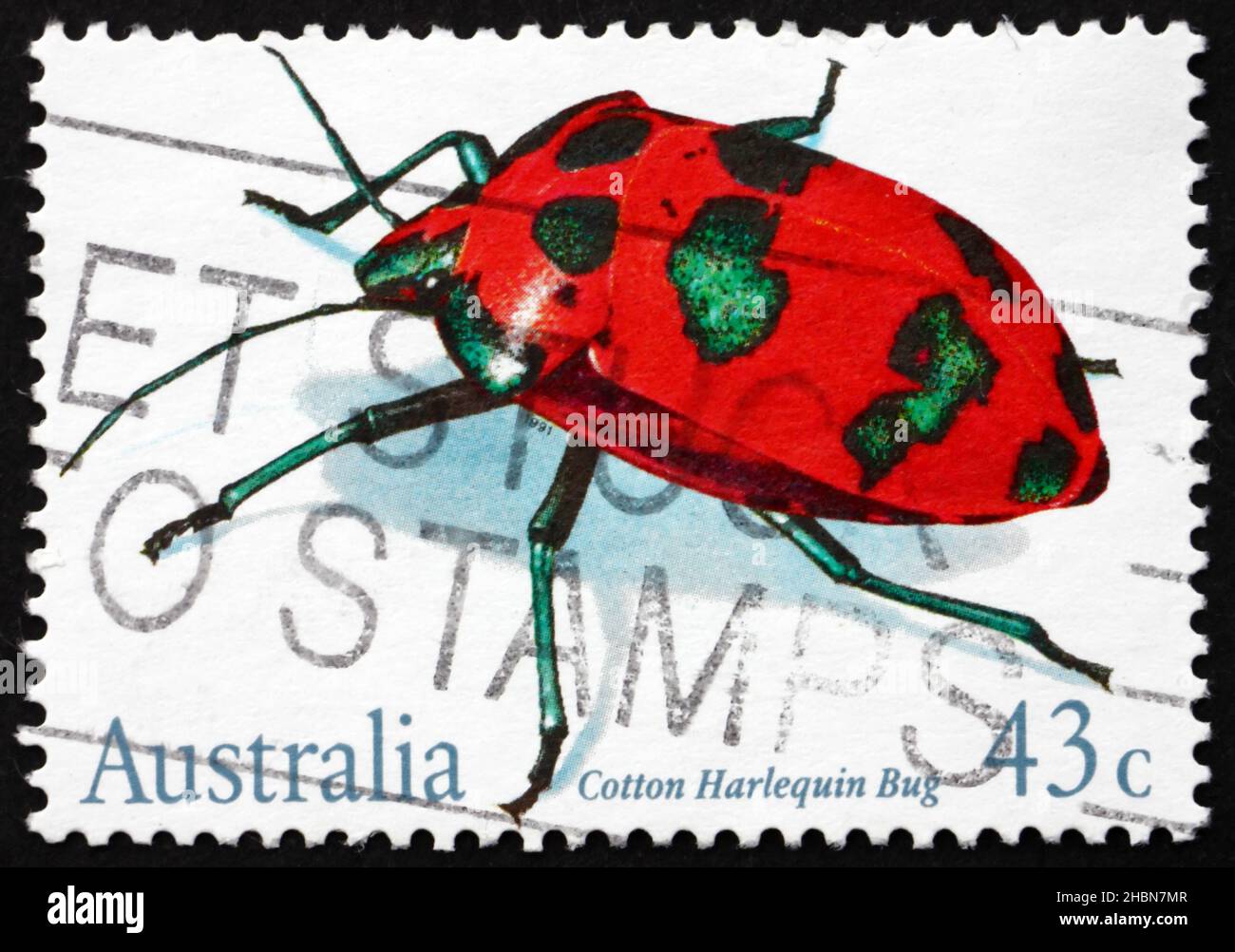 AUSTRALIA - CIRCA 1991: a stamp printed in the Australia shows Cotton ...