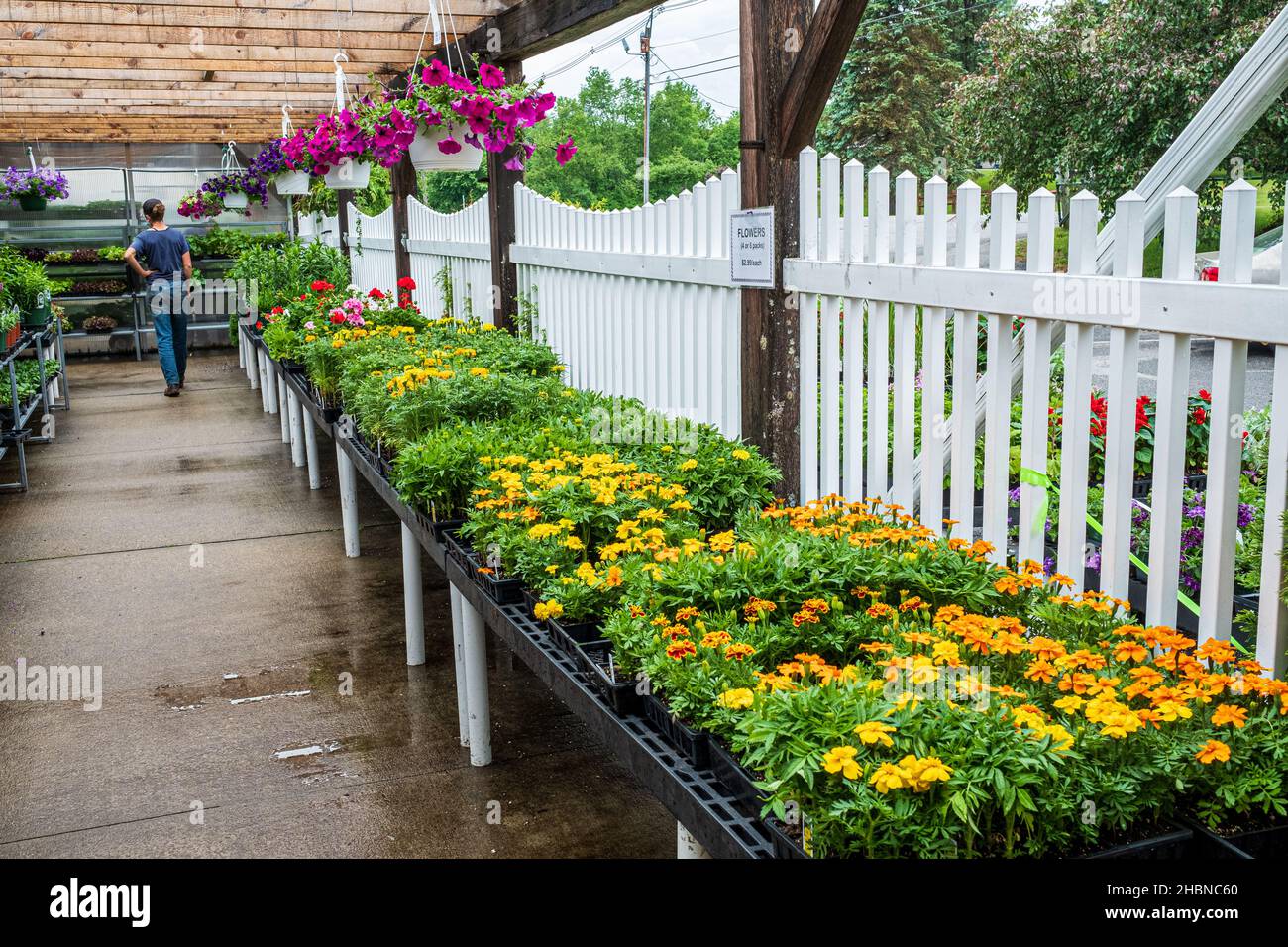 The Hardwick Farmers Coop in Hardwick, Massachusetts, selling flowers