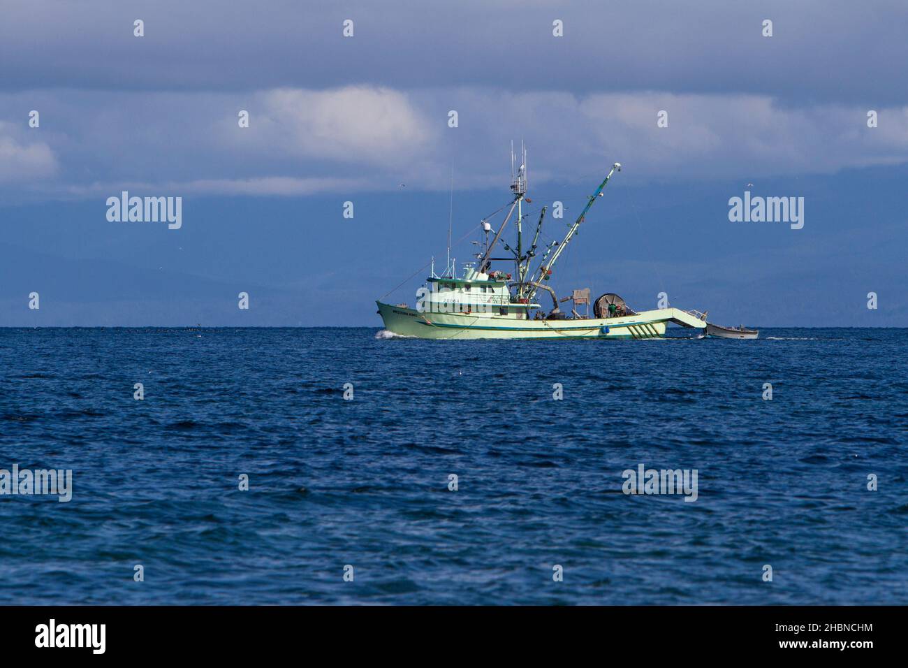 Fishing boat fishing for pacific herring in Strait of Georgia (Salish Sea) Parksville Bay, Vancouver Island, BC, Canada in March Stock Photo