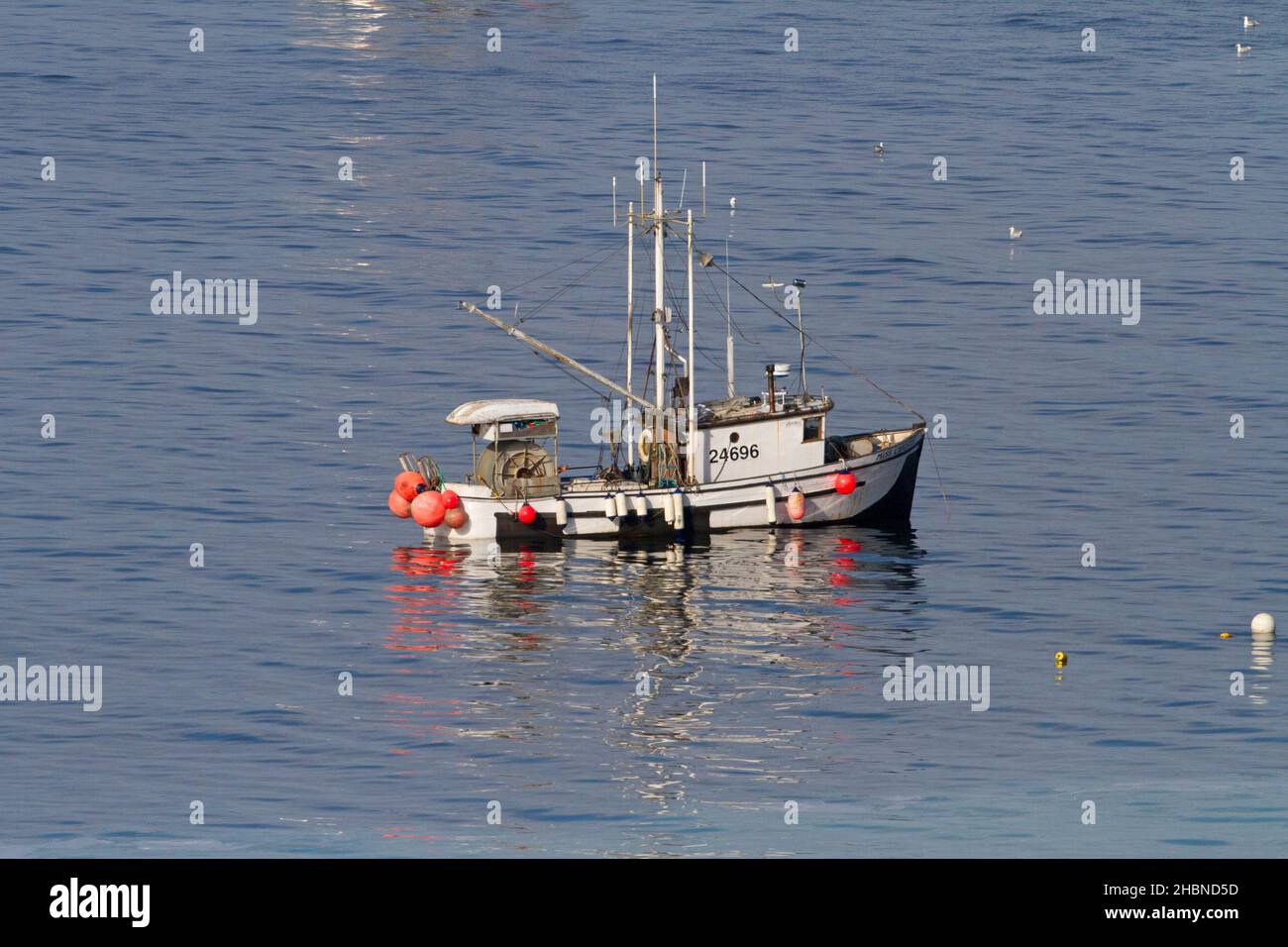 Fishing boat fishing for pacific herring in Strait of Georgia (Salish Sea) off Nanaimo coast, Vancouver Island, BC, Canada in March Stock Photo