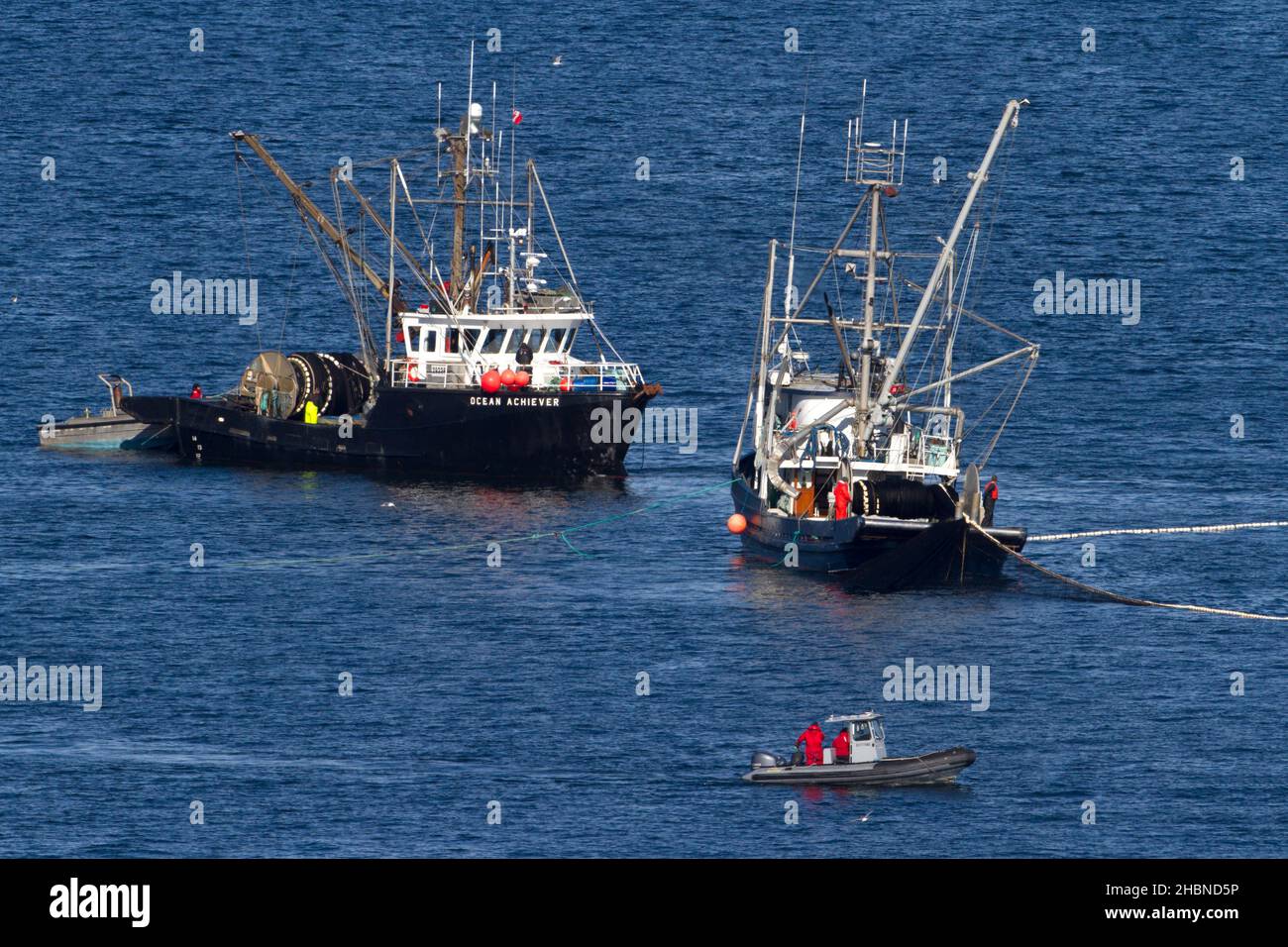 Fishing boats fishing for pacific herring in Strait of Georgia (Salish Sea) off Nanaimo coast, Vancouver Island, BC, Canada in March Stock Photo