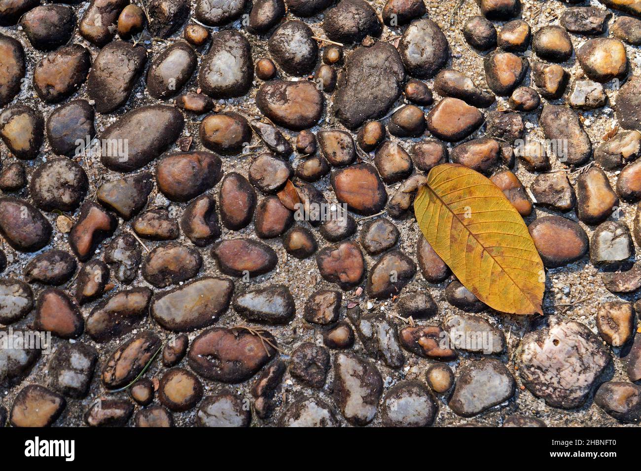 Pebble texture floor background and yellow leaf, Brazil Stock Photo