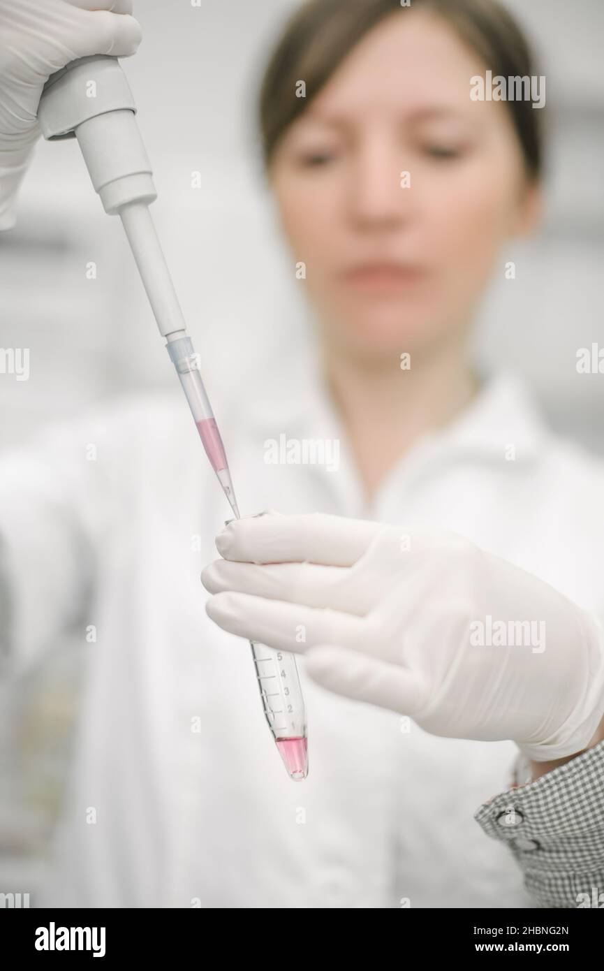 Medical laboratory scientists in the laboratory filling test tubes with