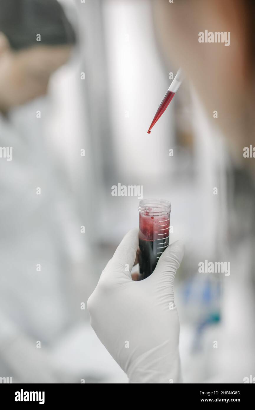 Two scientists in the laboratory filling test tubes with pipette. Close ...