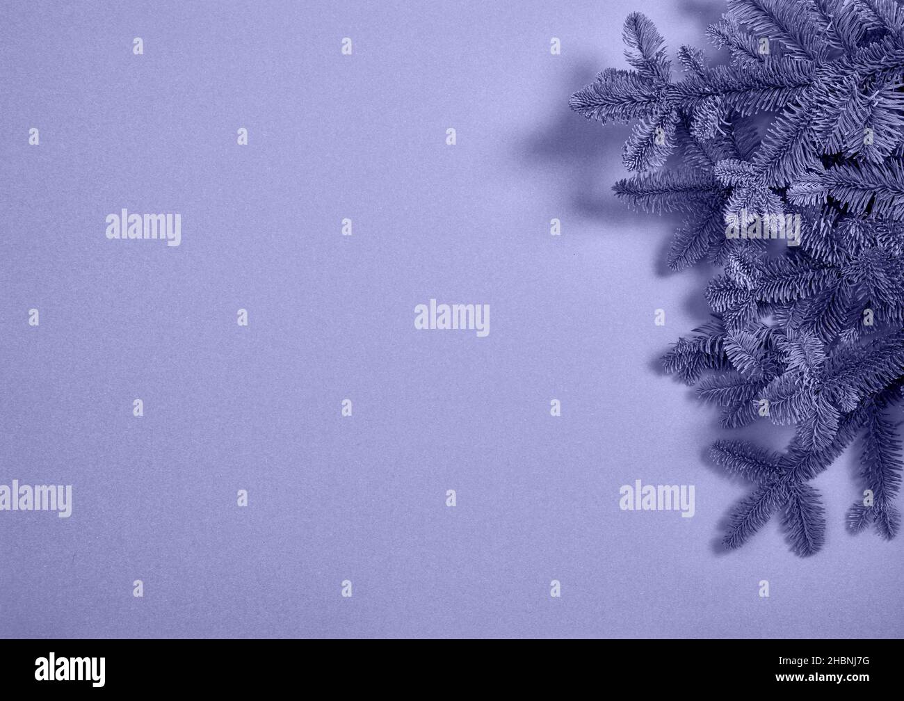 Christmas tree branches violet very peri colored background Stock Photo