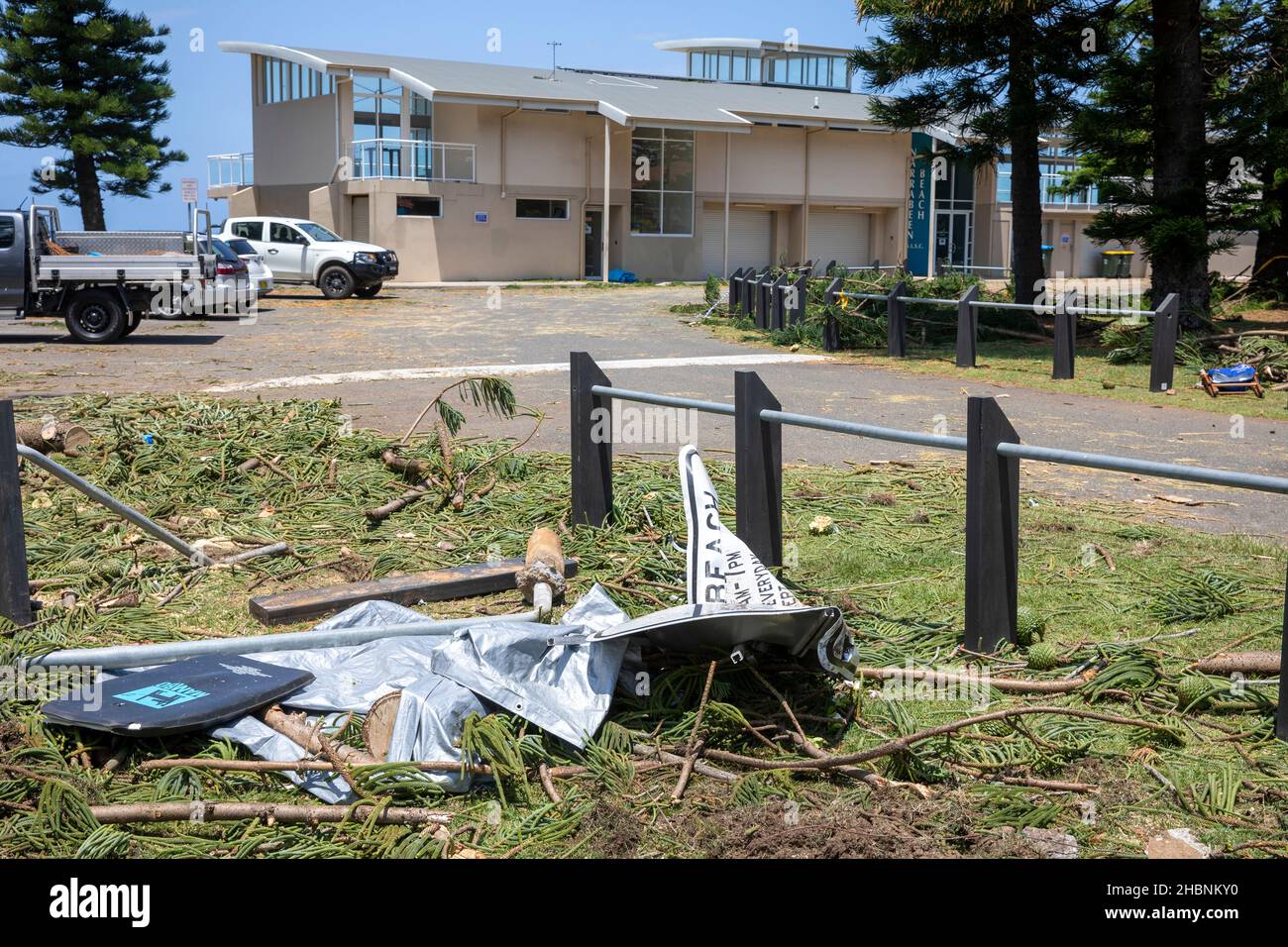 Freak storm led to lady losing her life near Narrabeen surf club as trees fell, day after the clean up begins at the site,Sydney,Australia Stock Photo