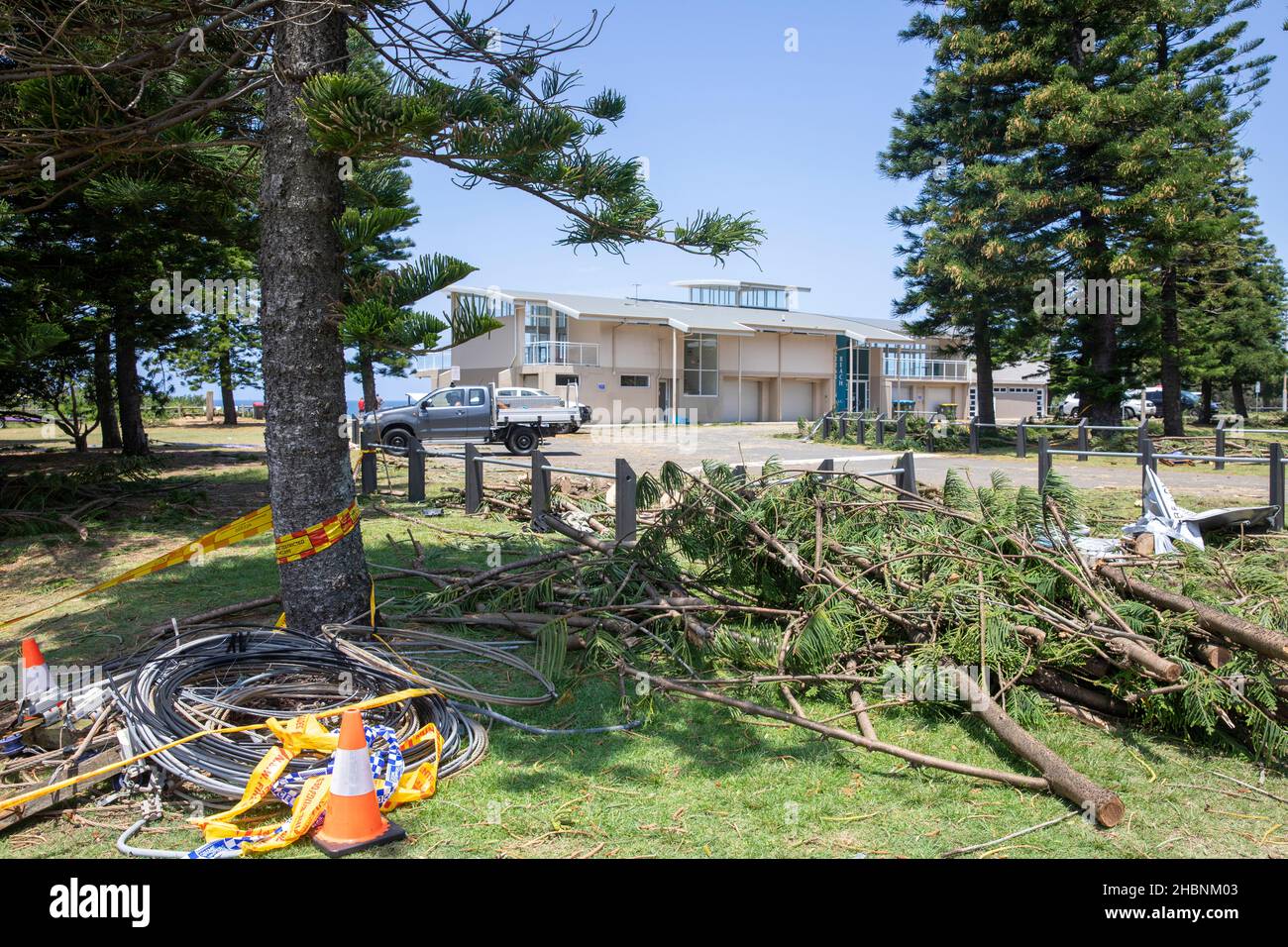 Freak storm led to lady losing her life near Narrabeen surf club as trees fell, day after the clean up begins at the site,Sydney,Australia Stock Photo