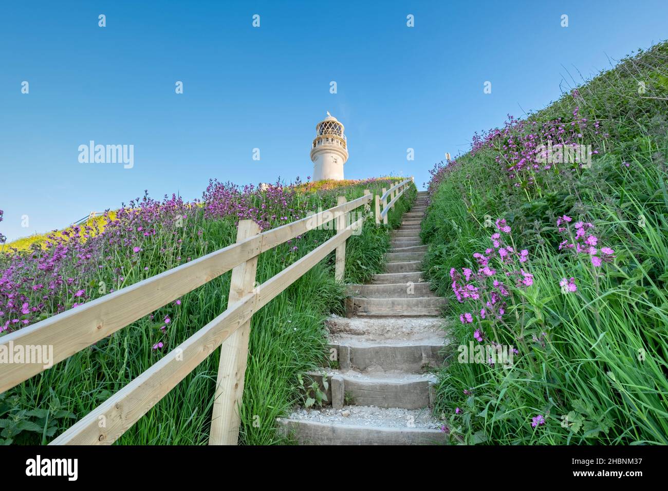 wild flowers leading up to the lighthouse at Flamborough Head Stock Photo