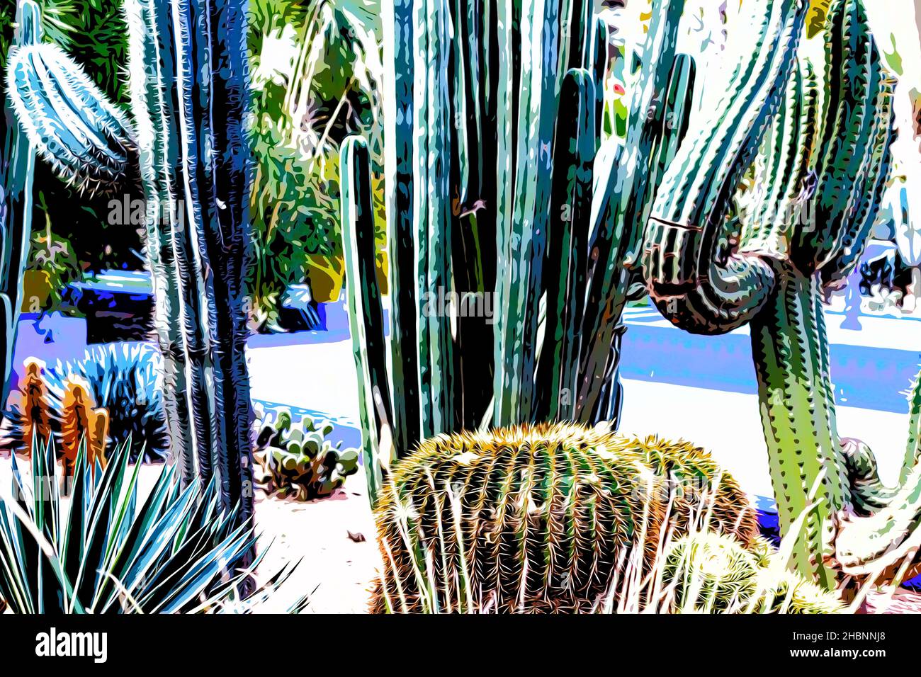 Cactus concept hi-res stock photography and images - Alamy